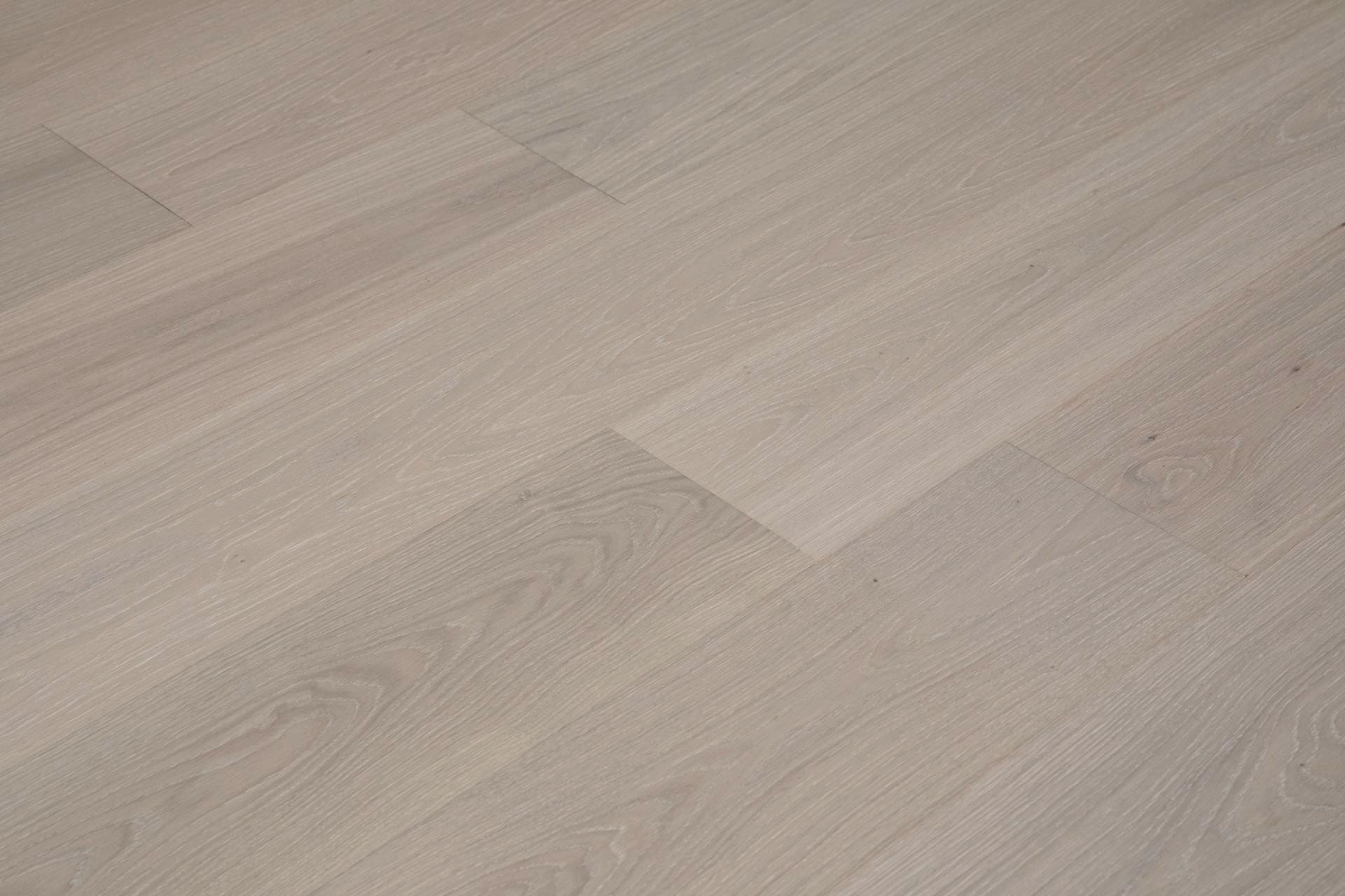 VENOSA