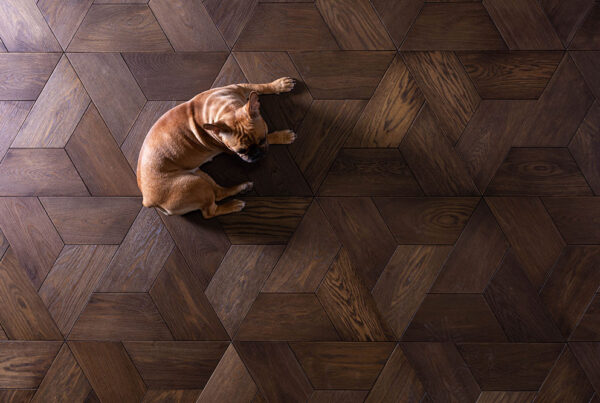 Hardwood Flooring for Pet Owners